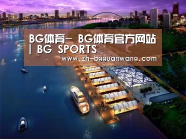 案例展示八