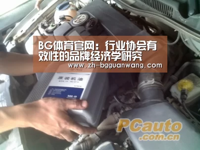 BG体育官网:行业协会有效性的品牌经济学研究(图4) BG体育官网