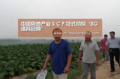 中国房地产业SCP范式初探‘BG体育官网’(图3) BG体育官网