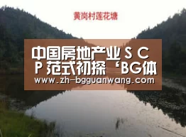 中国房地产业SCP范式初探‘BG体育官网’(图4) BG体育官网