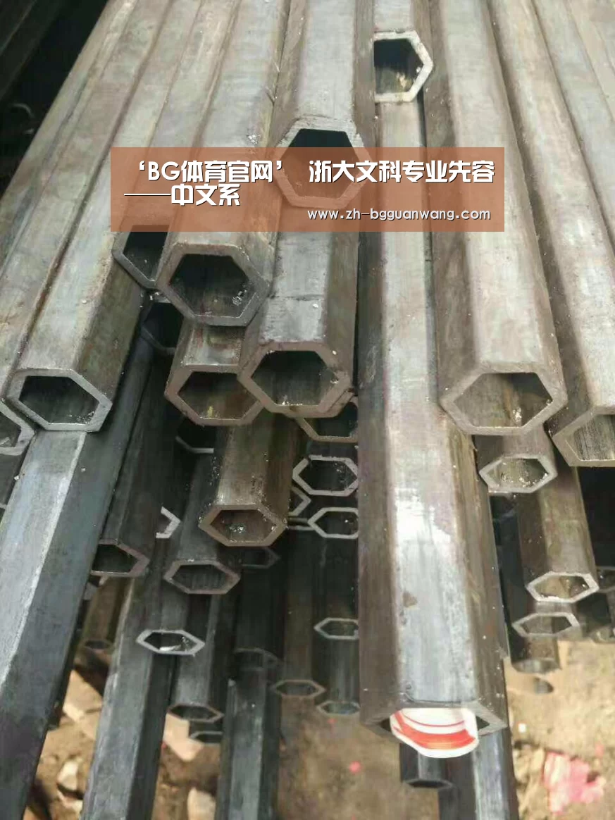 ‘BG体育官网’
浙大文科专业先容——中文系(图1) BG体育官网