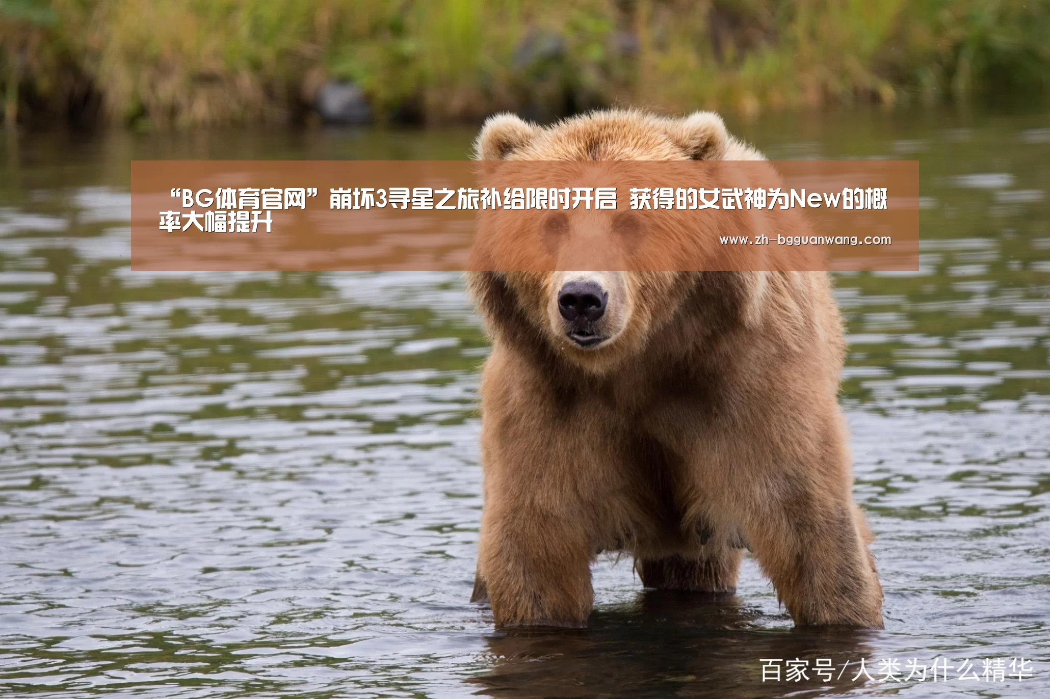 “BG体育官网”崩坏3寻星之旅补给限时开启 获得的女武神为New的概率大幅提升(图2) BG体育官网